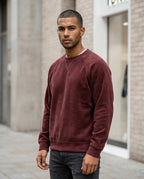 Statement Street - Vepol | Geripptes Raglanärmeliges Sweatshirt Herren